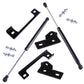 MK3 Focus Hood Struts - Fits 2013-2018 Focus SE/ST/RS